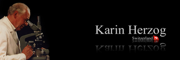 Karin Herzog